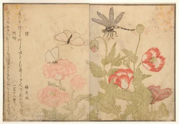 Vlinder en libel, 1788